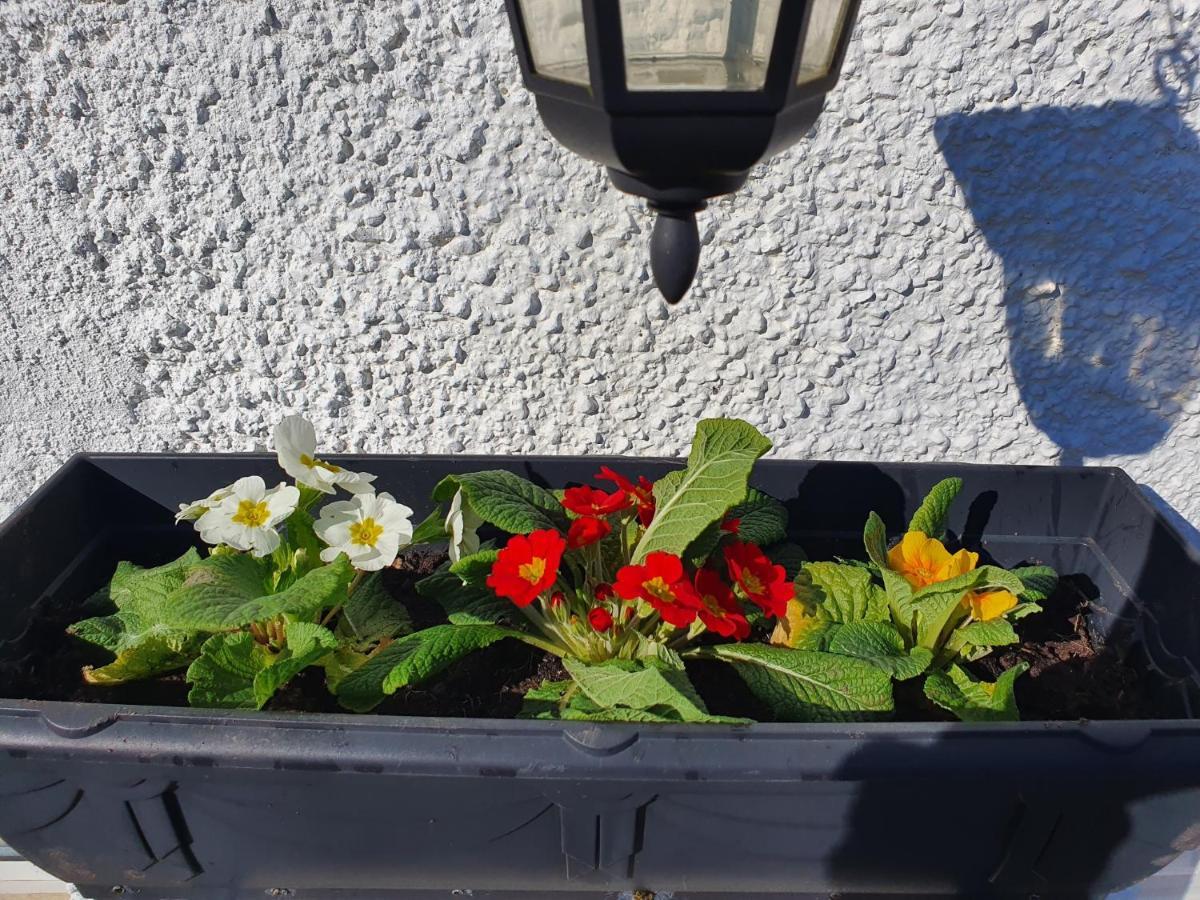 Tredegar Wales' Highest Village - The Chartist Cottage - Trefil מראה חיצוני תמונה