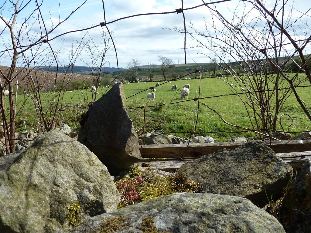 Tredegar Wales' Highest Village - The Chartist Cottage - Trefil מראה חיצוני תמונה