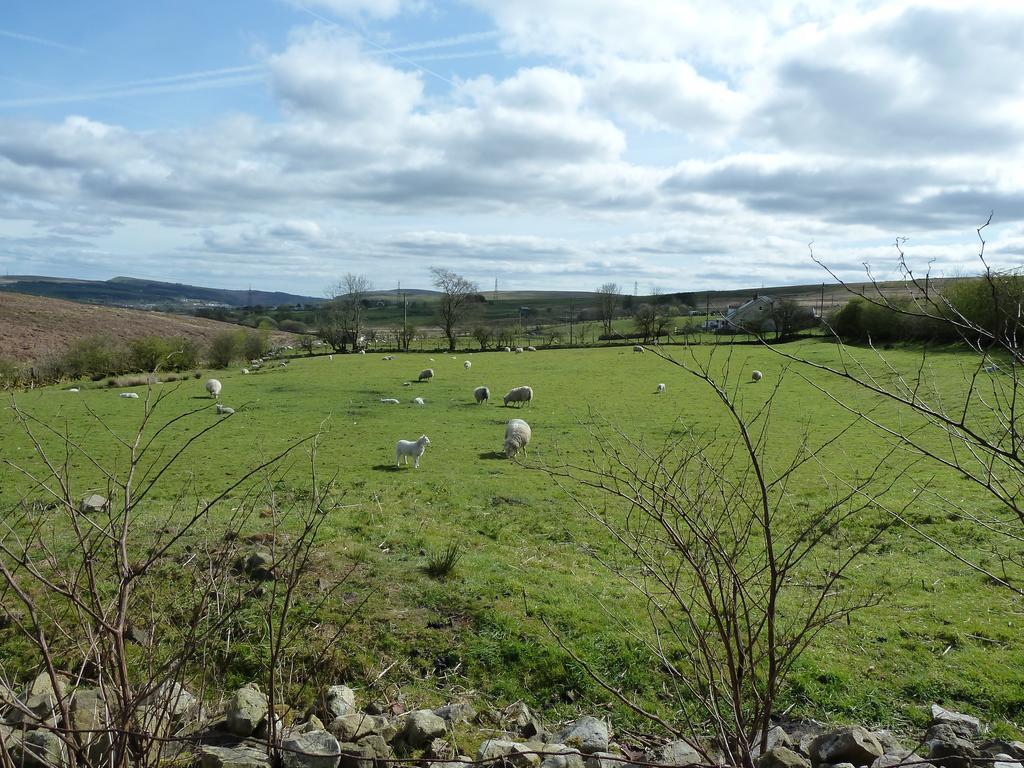 Tredegar Wales' Highest Village - The Chartist Cottage - Trefil מראה חיצוני תמונה